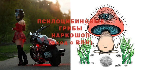 таблы Белокуриха